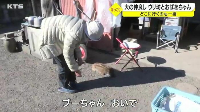 岩根さんが呼びかけたのは…