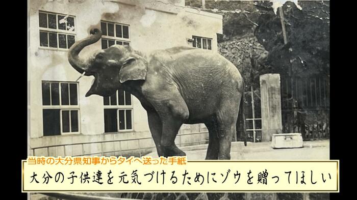 昭和25年ラクテンチにゾウ来園