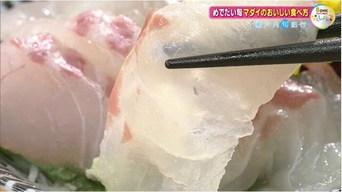 マダイ