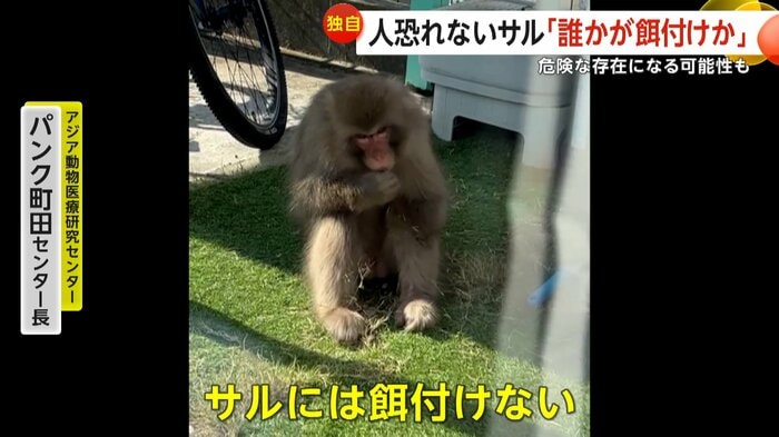 (視聴者撮影)