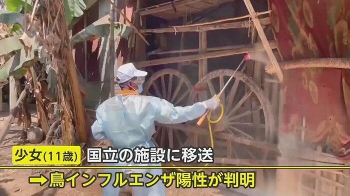 現地では家屋の消毒作業も