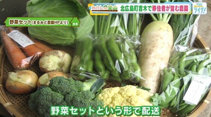 野菜セット（まるみど農園HPより）