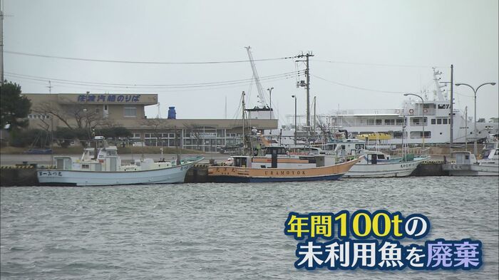 寺泊漁港(長岡市)