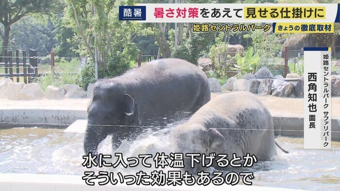 深さ2メートルの巨大なプール