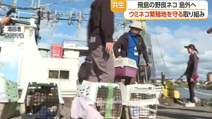 酒田港に到着したネコのケージ