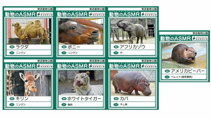 今回配信される7種の動物。サムネイルはどこかで見た学習帳風(画像提供:東武動物公園)