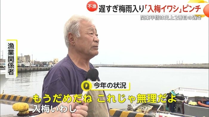 今年は「入梅イワシ」は絶望的と話す漁業関係者