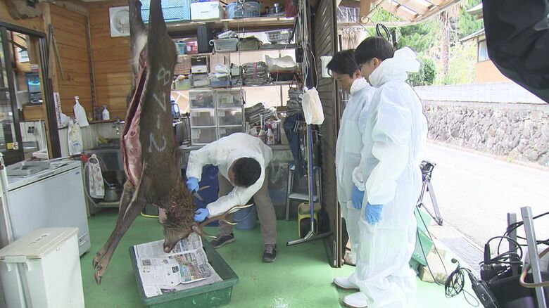 クマ被害相次ぐなか進む高齢化による“ハンター減少問題”　猟師の魅力発信を若い世代の育成と里山再生の“チャンス”に｜FNNプライムオンライン