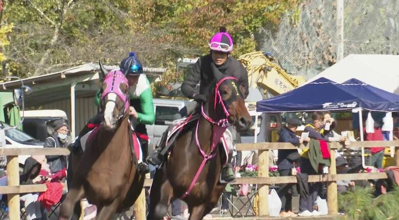 サラブレッドや農耕馬が駆け出す！　「望月の里　草競馬大会」　ポニーのレースでは落馬のアクシデントも　長野・佐久市｜FNNプライムオンライン