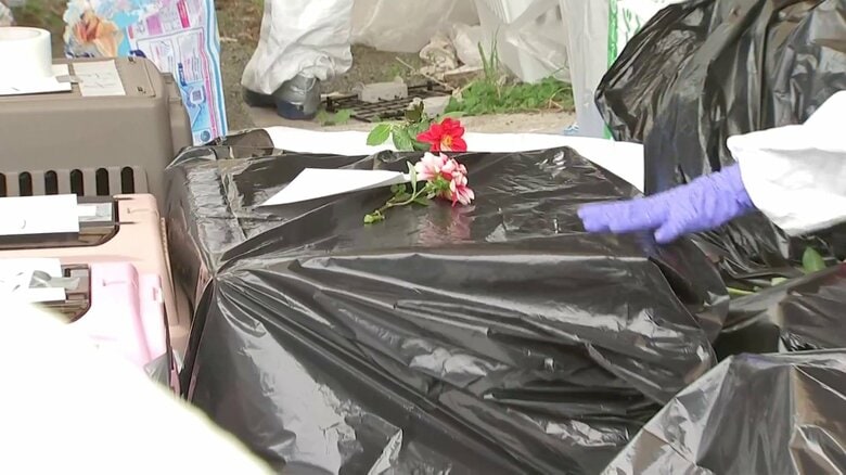 猫を預けたら…皮膚の一部剥がれ死ぬ　その後預かった保護団体の女性宅で死骸約100匹が見つかる　飼育しきれず“多頭飼育崩壊”か　熊本市｜FNNプライムオンライン