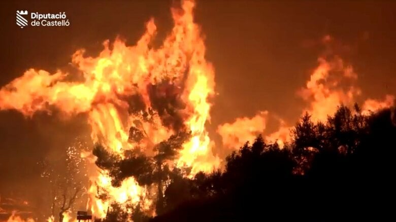 ヨーロッパで山火事拡大　仏・スペインで３７万人超避難　熱波と強風で延焼続く｜FNNプライムオンライン