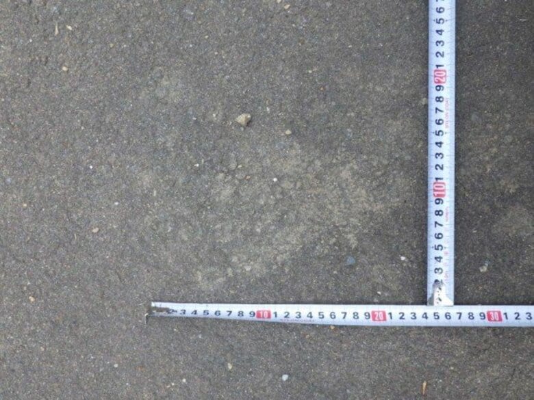 【ヒグマ速報】道路に幅約15センチのクマの足跡_デントコーンなどなぎ倒される_町内の牧場では10日に飼育中のヤギが襲われる被害も〈北海道八雲町〉｜FNNプライムオンライン