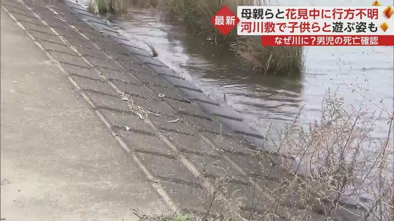 「ここからさききけん」の看板の先には、芝からアスファルトに変わり急斜面になっている