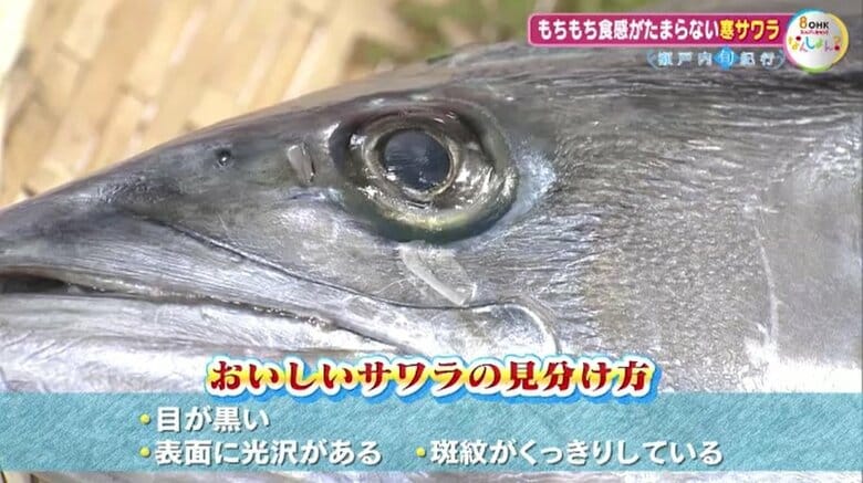 サワラの見分け方