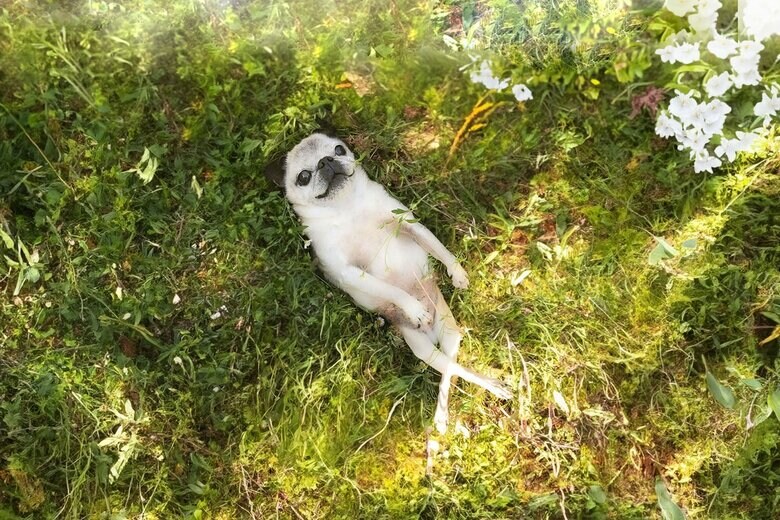 当時14歳　まるで絵画のような写真（提供：よしこさん）