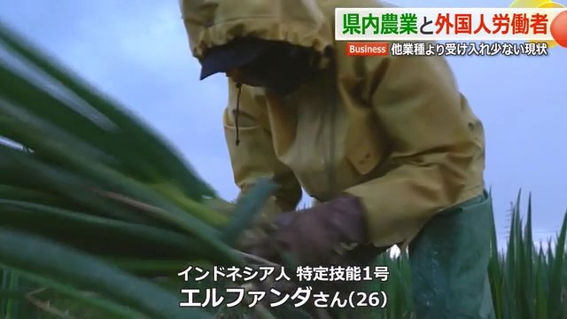 小西農園に新たに加わった特定技能1号の外国人
