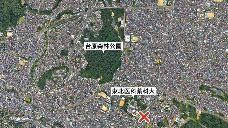 目撃現場周辺　住宅地の中に広大な台原森林公園がある