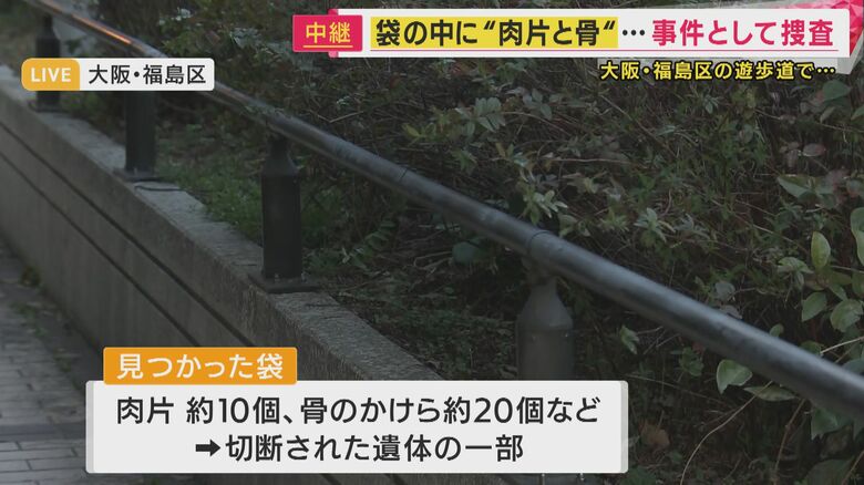 遺体が見つかったあたりの植え込み