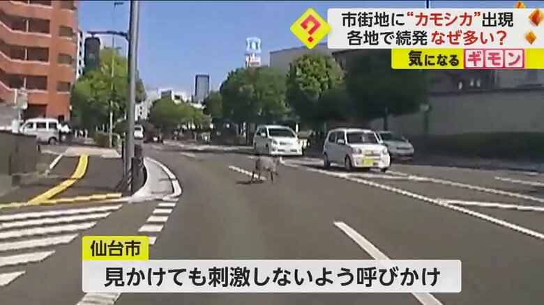 （FNN投稿サイト「ビデオPost」）