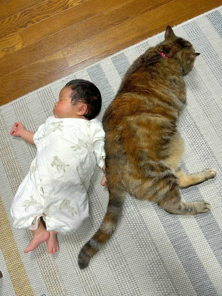 提供：エルモとみみりんさん