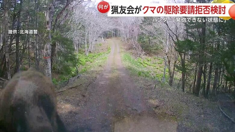 ヒグマが車に突進してフロントガラスとワイパーを破壊する様子