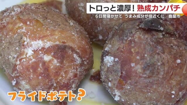 見た目も味も未体験のフライドポテト