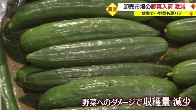 野菜へのダメージも…