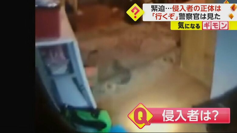 アラートを鳴らした侵入者はリスだった