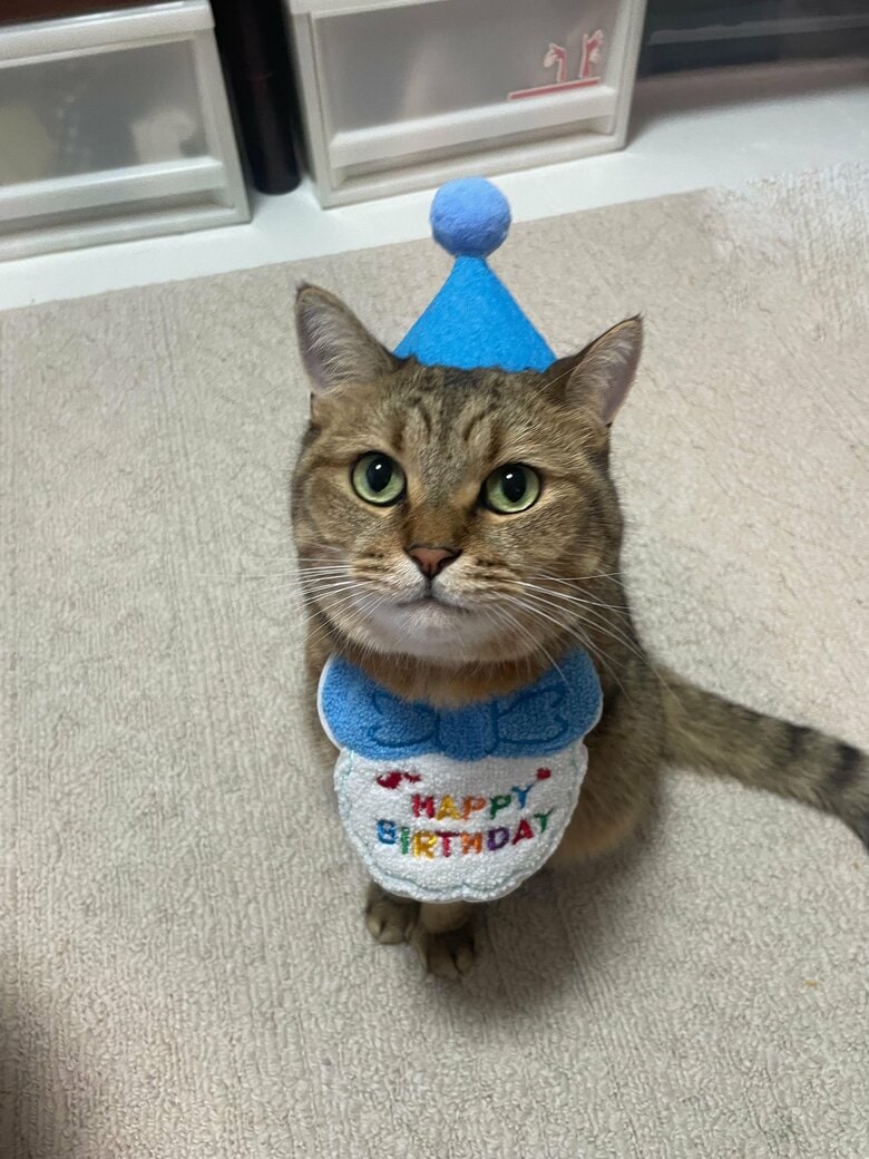 3歳のお誕生日祝い