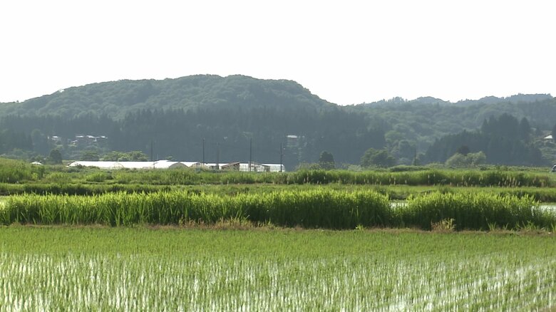 齊藤さんの楽曲の原点となっている大仙市の風景