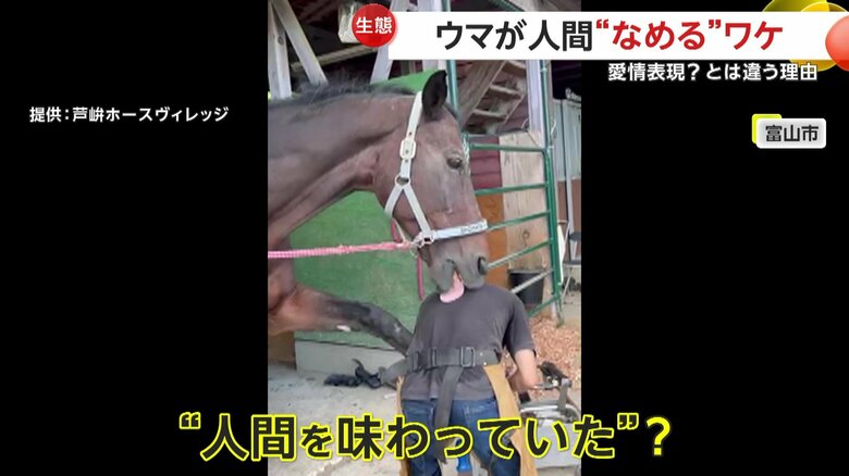 “人間を味わっていた”のか疑問が深まるペロペロ行為