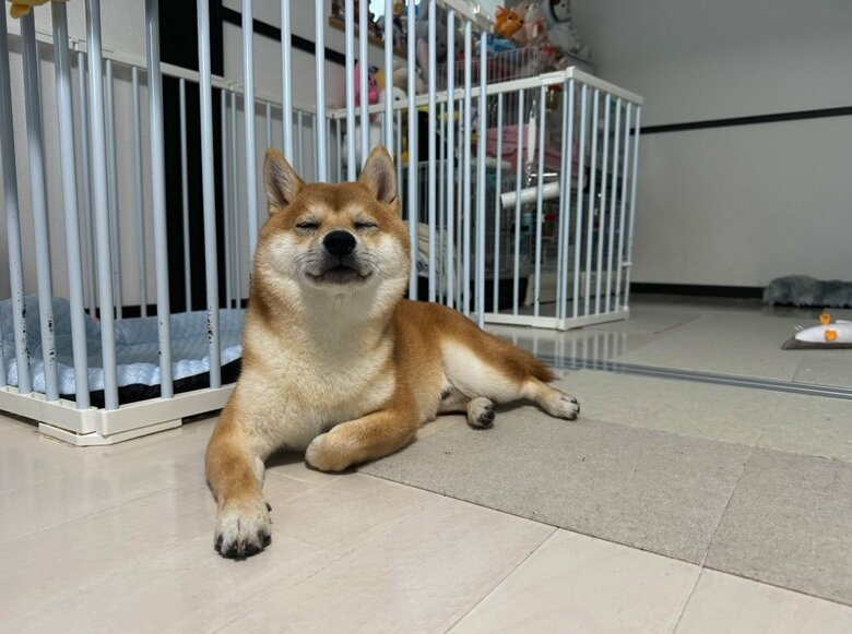 提供：わさび一族さん