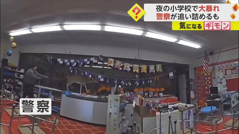 深夜の小学校を逃げ回るシカの様子⑥