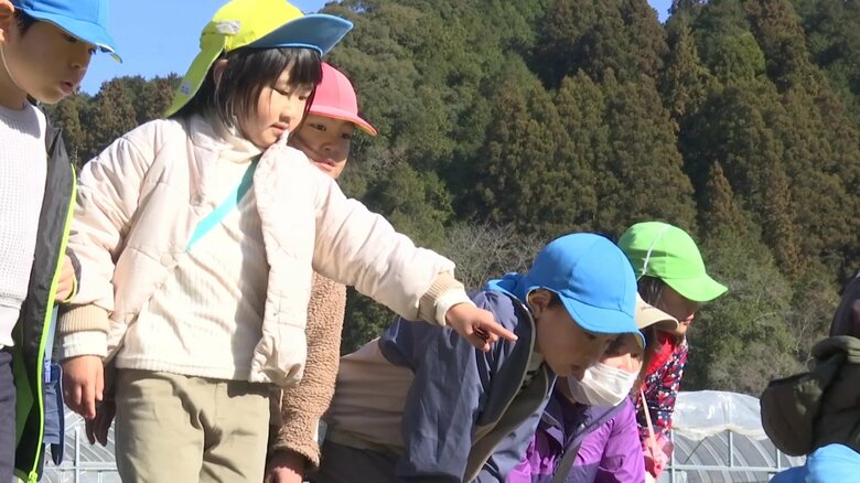 オタマジャクシを見る子どもたち