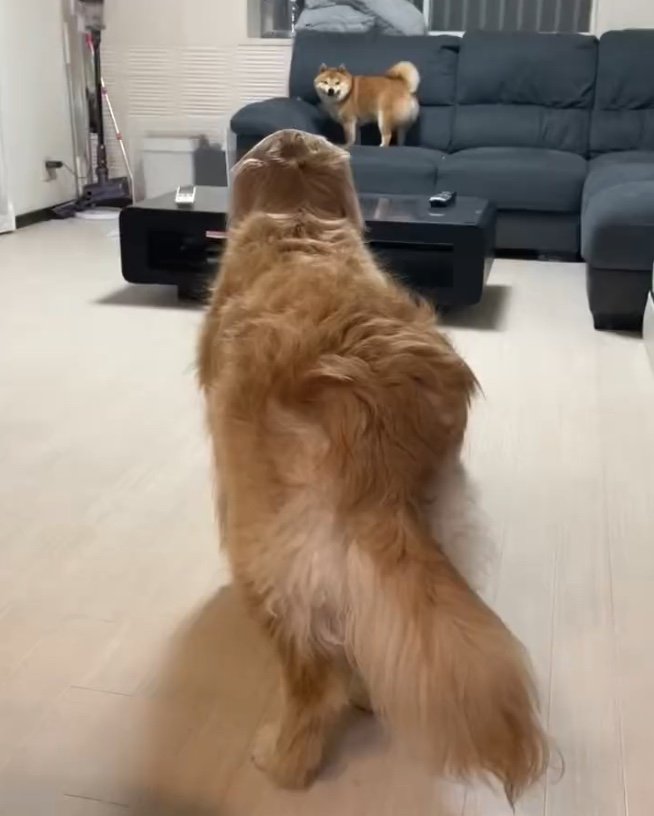 目があったら…（提供：うにandおからさん）