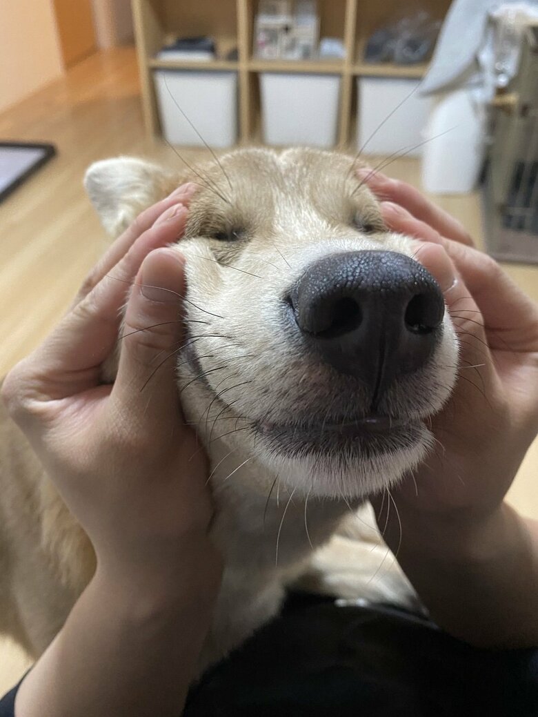 旦那さんに遊ばれるあさぎちゃん