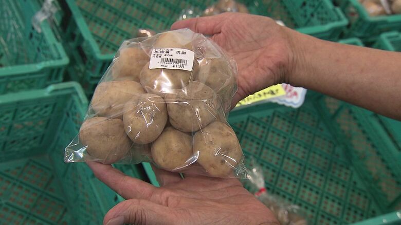 高温の影響で例年にはない小さなジャガイモが