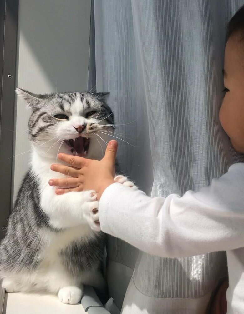 予想不可能な動きをする手が苦手