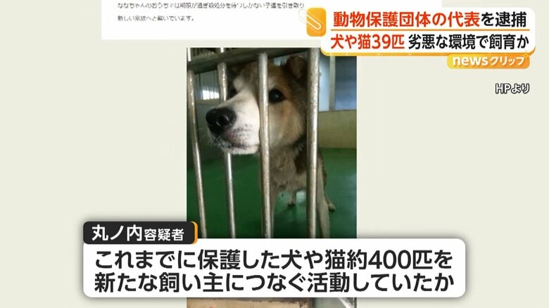 これまでに保護した犬や猫、約400匹を新たな飼い主につなぐ活動をしていたという丸ノ内容疑者
