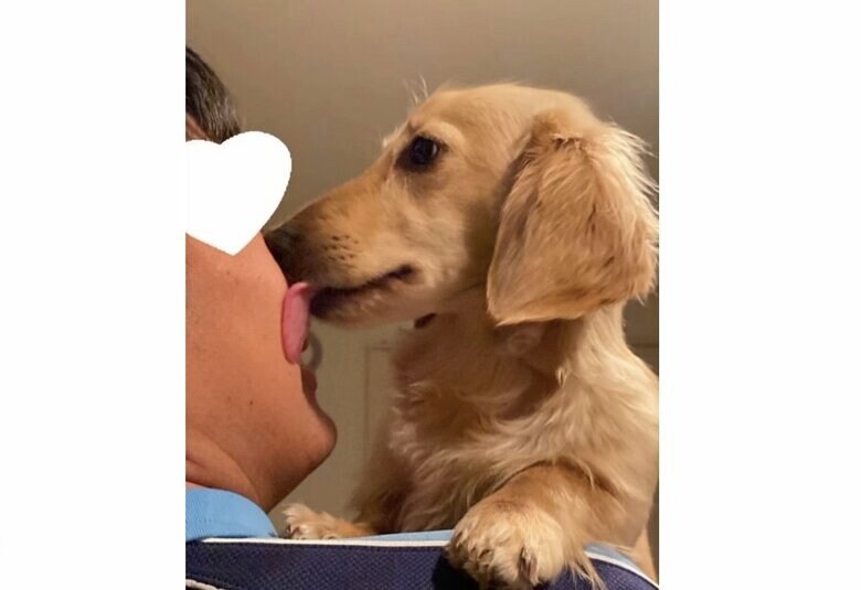 提供：___0516.wanさん