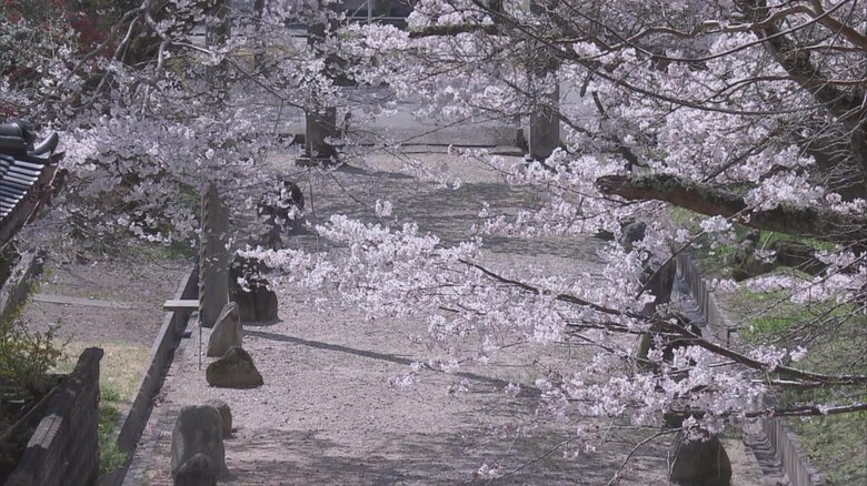 厳かで美しい眺め