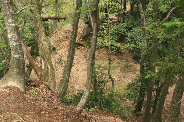 本丸から見下ろす大堀切