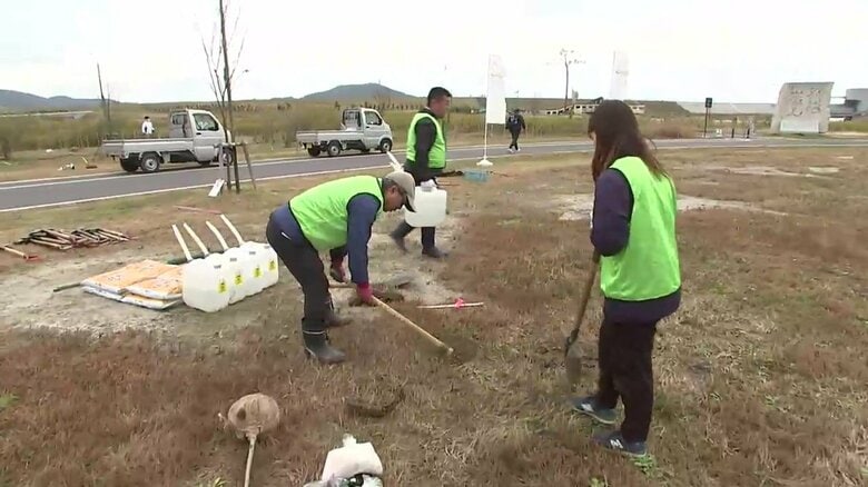 高田松原津波復興祈念公園にサクラを植樹