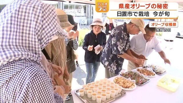 9月に開かれたオリーブ収穫祭