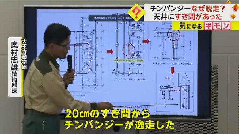 チンパンジー脱走時の状況を説明する天王寺動物園・奥村忠雄技術部長
