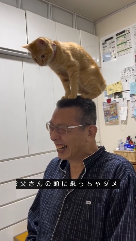 提供：cohakuさん