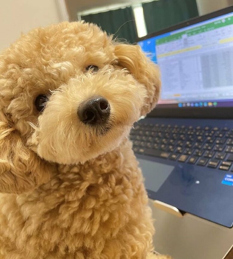仕事終わりました？