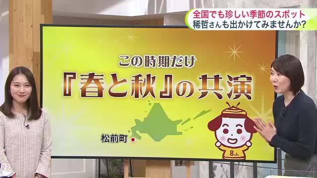 【菅井さんの天気予報 4日(火)】紅葉が見ごろの中で桜咲く…お花見と観楓会が同時に楽しめる贅沢スポット！最新の週間予報も