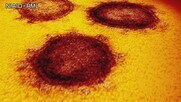 新型コロナ 新たに43人の感染確認【愛媛】