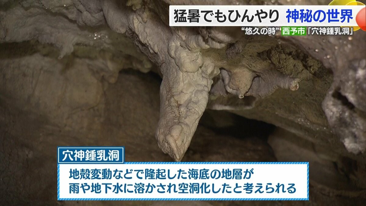 大自然が生み出した「穴神鍾乳洞」 外気温との差は約10度 歴史や生命を